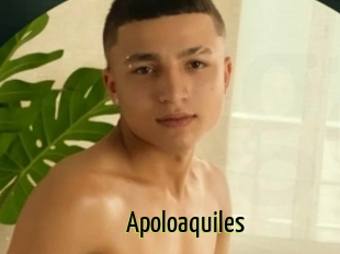 Apoloaquiles