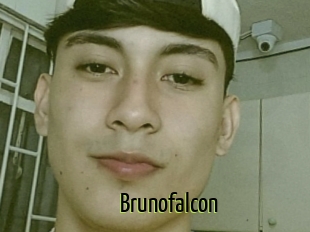 Brunofalcon