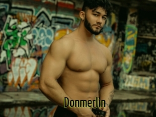 Donmerlin