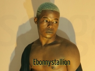 Ebonnystallion