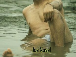 Joe_Novel