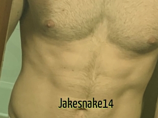 Jakesnake14