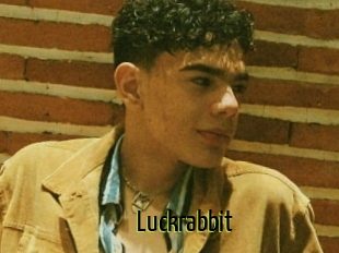 Luckrabbit