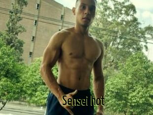 Sensei_hot