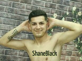 ShaneBlack