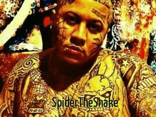 SpiderTheSnake