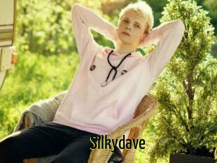 Silkydave