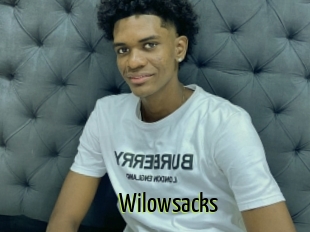 Wilowsacks